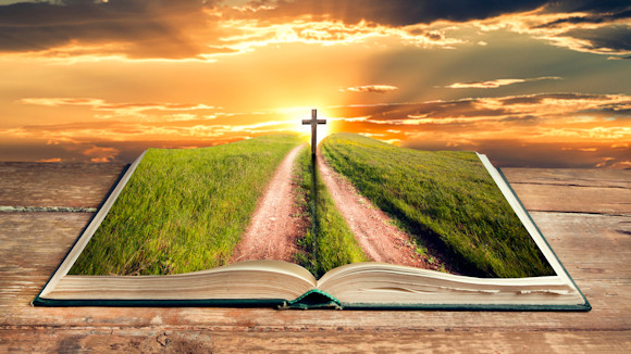 Daily Bible Readings Daily Bible Readings